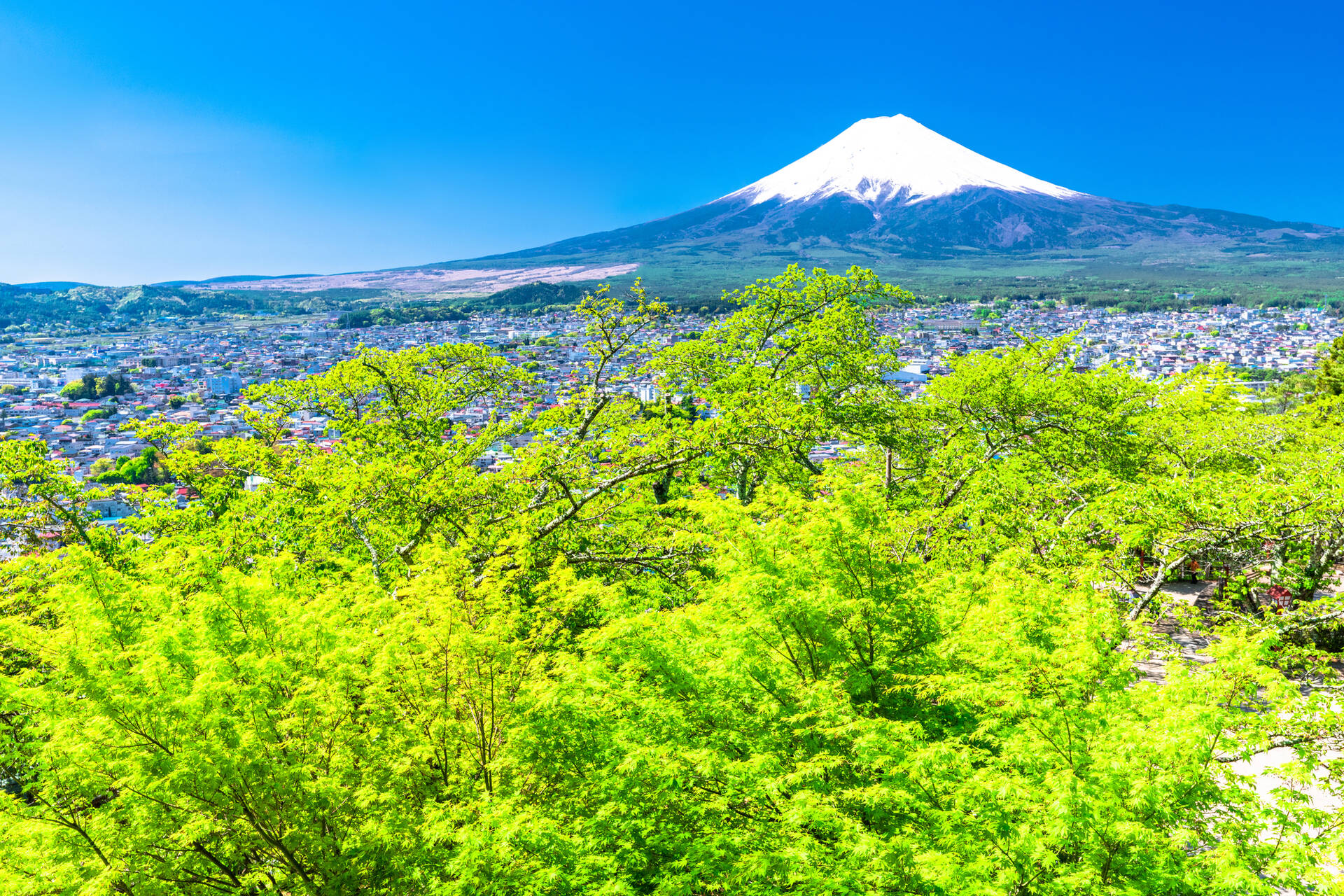 土地の売却